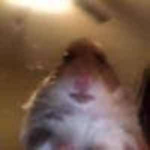 Meet your Posher, Marco